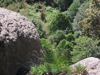 qua Rocca10062012 172
